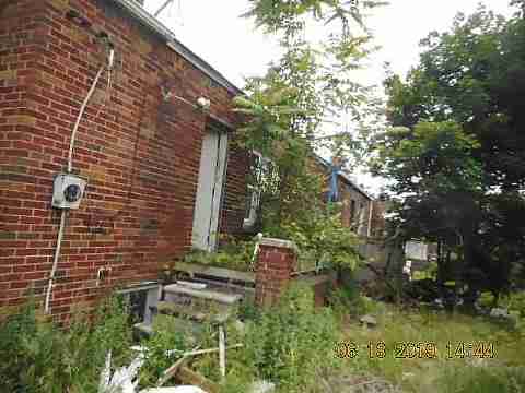 8266 Badger (7)_m.jpg